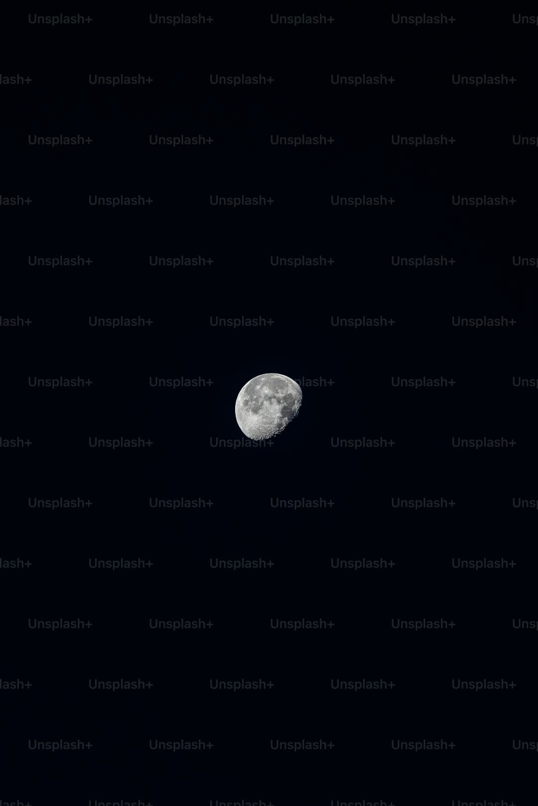 https://static.ws.126.net/163/frontend/images/2022/empty.png